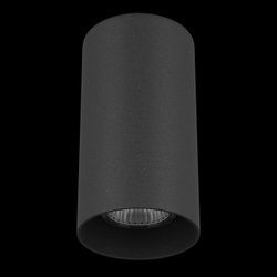 Накладной светильник Lightstar Rullo 216487