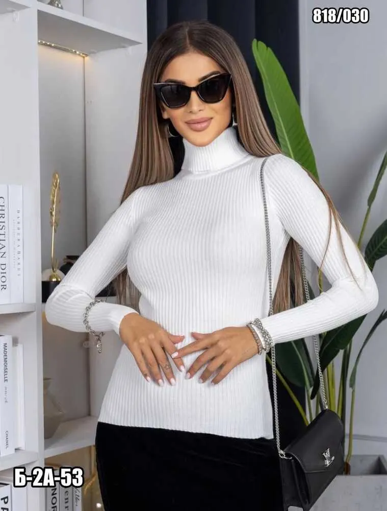 Водолазка 4145655 (1402412573) Fabrika