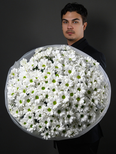 Моно букет из 25 хризантем ромашка