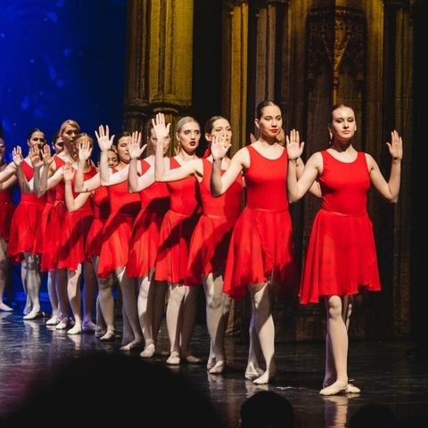 Пошив на заказ купальников и юбок для студии - Amateur Ballet.  Балетный спектакль 