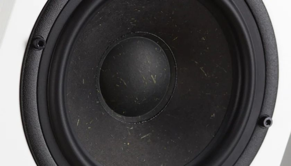 Напольная акустика Radiotehnika Gamma 3.03