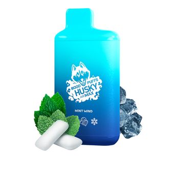 HUSKY Air Max 8000 Мятная жвачка - Mint wind