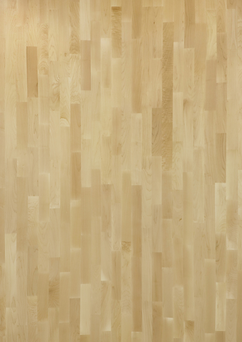 Спорт Турнир Клен