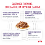 Royal Canin NEUTERED BALANCE Корм влажный для взрослых стерилизованных кошек склонных к набору веса соус 85г