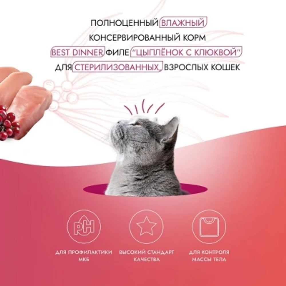 Влажный корм для стерилизованных кошек Best Dinner Holistic цыпленок с клюквой в соусе 0,070кг