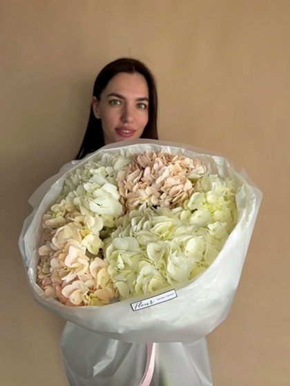 Букет 5 гортензий #48