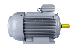 Электродвигатель ESQ PR 315 M2-SDN-Б1-S12-IE3 132/3000 IMB3