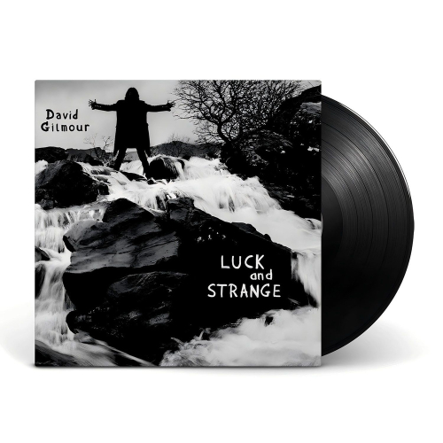 David Gilmour - Luck And Strange