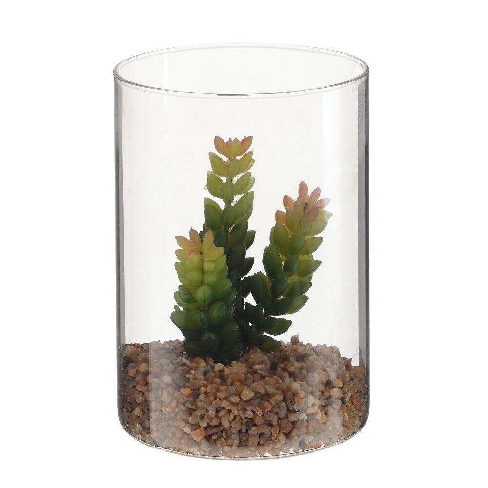 GAEM Цветочная композиция "Суккулент", L12 W12 H25 см