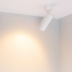 Светильник SP-ARTEMIS-SURFACE-FLAP-R55-12W Warm2700 (WH, 8-80 deg, 230V) (Arlight, IP20 Металл, 5 лет) 062248