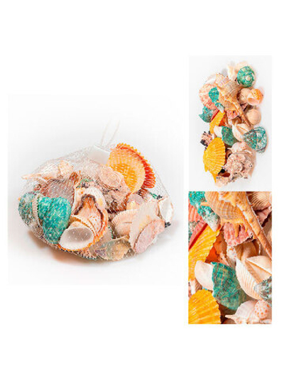 Набор морских раковин в банке 800мл/300-400гр