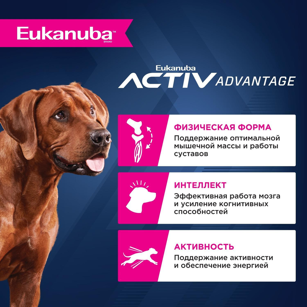 Сухой корм Eukanuba Senior Large Breed 7+ years для пожилых собак крупных и очень крупных пород с курицей 15 кг