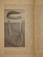 "Аквариум любителя. Подробное описание флоры и фауны аквариума, устройство аквариума, уход за ним и пр.". Н.Ф.Золотницкий. 1890г.
