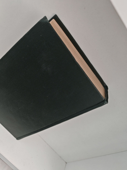 Чарльз Диккенс. Собрание сочинений в тридцати томах. Том 8. Барнеби Радж