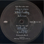 Bruce Dickinson / The Chemical Wedding (2LP)