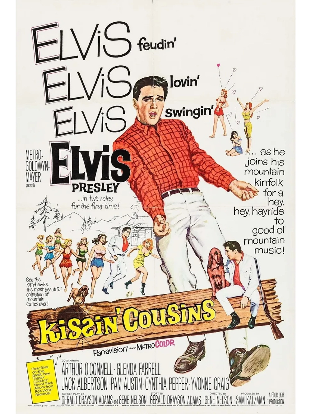 Целующиеся кузены ( 1964 ) (DVD-R)