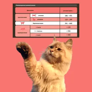 Консервы ProBalance Active для кошек, ведущих активный образ жизни