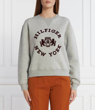 Худи MDN REG VARSITY FLOCK Tommy Hilfiger - серый(WW0WW39805)