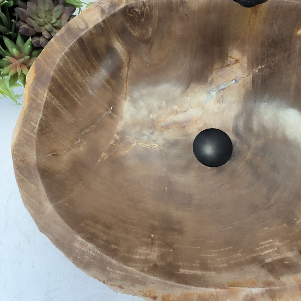 Раковина из окаменелого дерева OD-62420 57*45*15