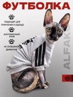 Одежда для кошек