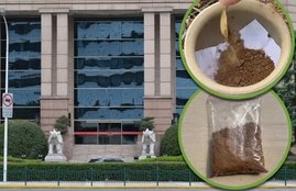 Китайские селлеры открыли новую товарную нишу