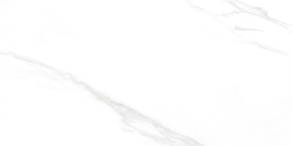 Carrara Excellent Silver Керамогранит белый 60х120 Матовый