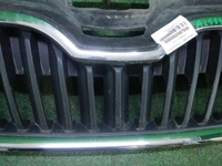 Решетка радиатора Skoda Rapid (2012-2020)