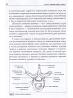 Остеология