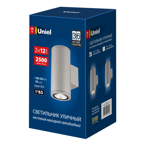 ULU-S22D-2x12W/2700K IP65 LIGHT GREY Светильник светодиодный уличный. Архитектурный накладной. Теплый белый свет (2700K). Корпус светло-серый. TM Unie