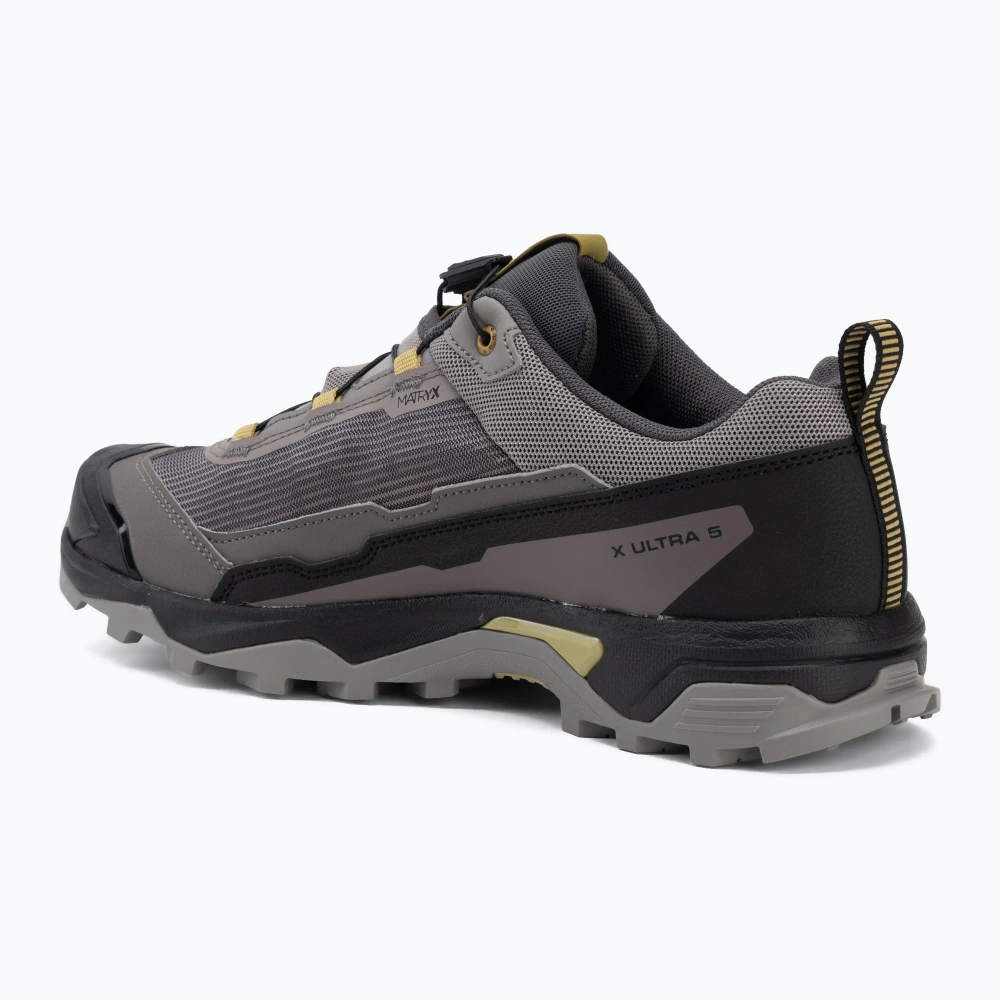 Кроссовки Salomon X Ultra 5 cloudburst/black/willow