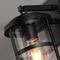 4964/1W NATURE ODL22 737 черный/стекло Ландшафтный настен.светильник E27 1*60W IP44 MAGUS