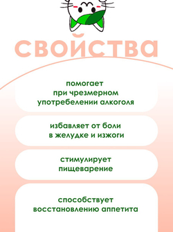 Исан Средство для желудка