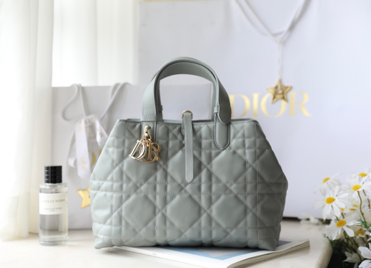Christian Dior Medium Toujours Bag 28 cm