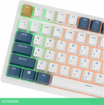 Клавиатура Royal Kludge RK98 Blue switch/Klein Blue