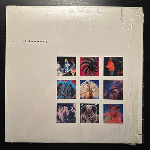 Startled Insects - Curse Of The Pheromones (Канада 1987г.)