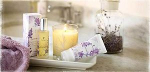 Thymes Lavender