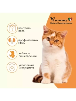 Корм для взрослых стерилизованных кошек, индейка 2 кг