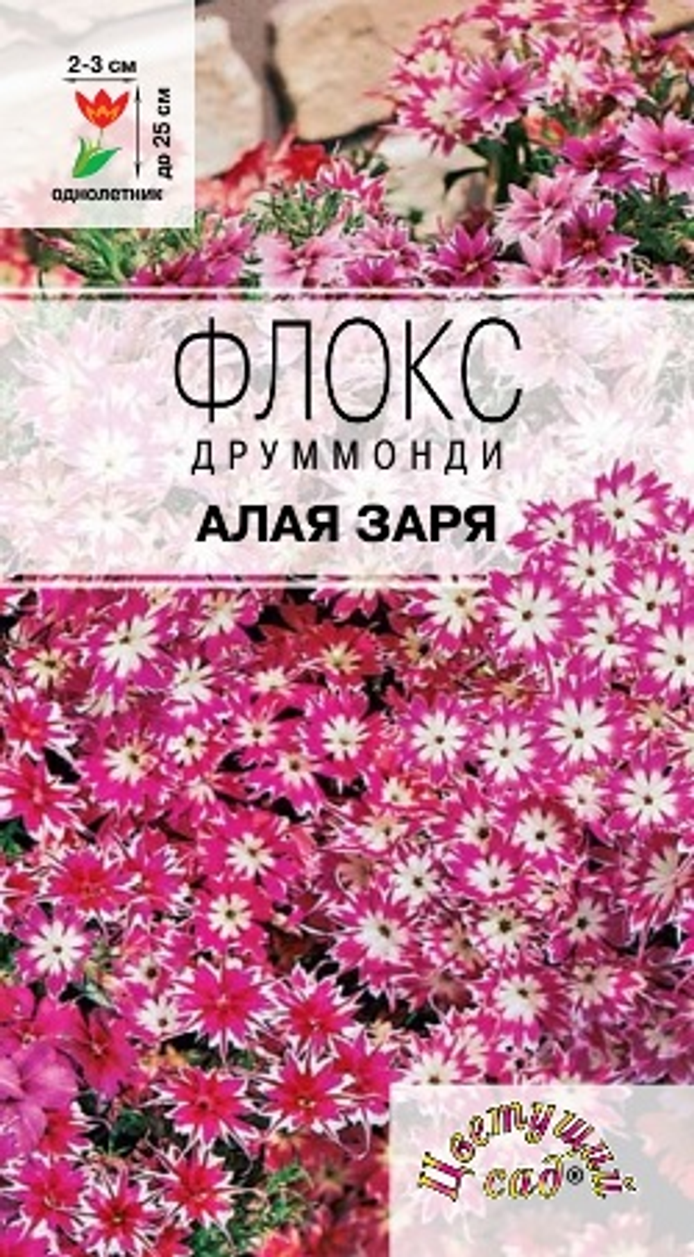Флокс Алая заря смесь Ц ЦС