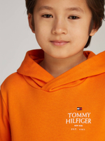 Худые Tommy Hilfiger - оранжевый(KB0KB09193)