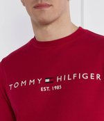 Худи Tommy Hilfiger - бордовый(MW0MW11596)
