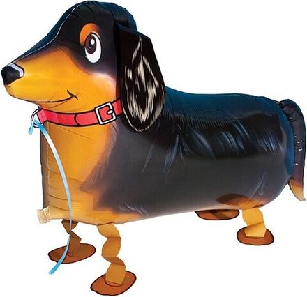 Ходячий шар "Собака Такса"