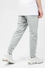 Брюки спортивные Basic Summer Пепельные