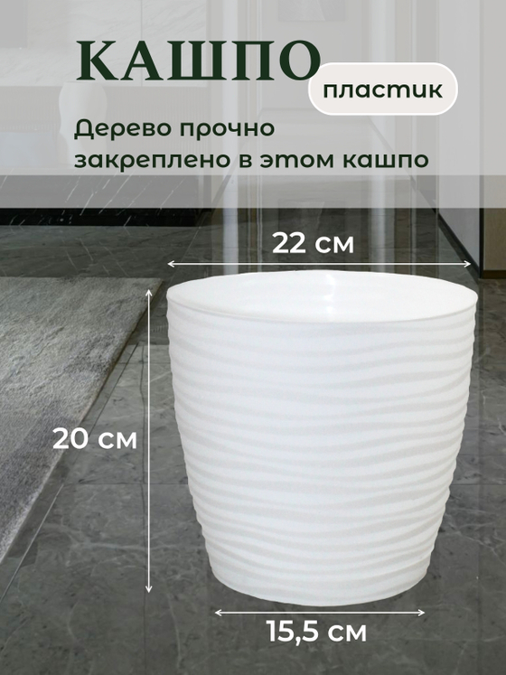 Искусственное дерево Акация лиловая 170 см в кашпо