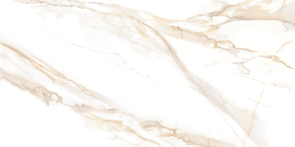 Сэнди Каррара / Sandy Carrara