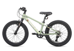 Maxiscoo 5BIKE 20'' M200 (2025)