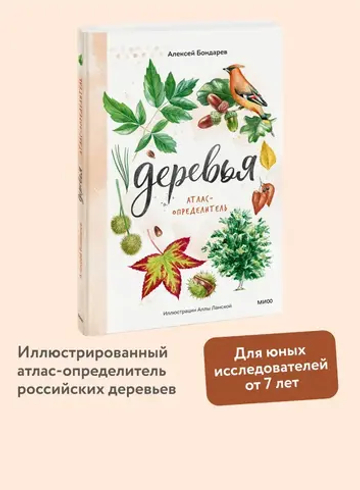 Деревья. Атлас-определитель