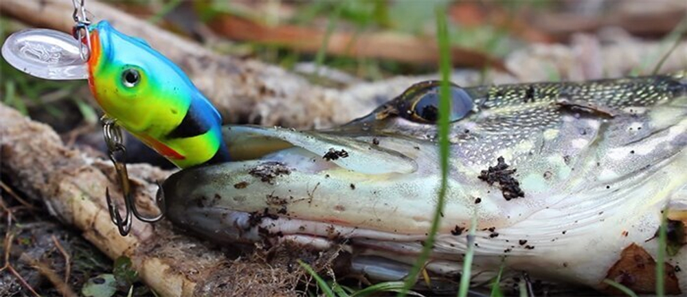 Воблер Минноу BIT 40mm,