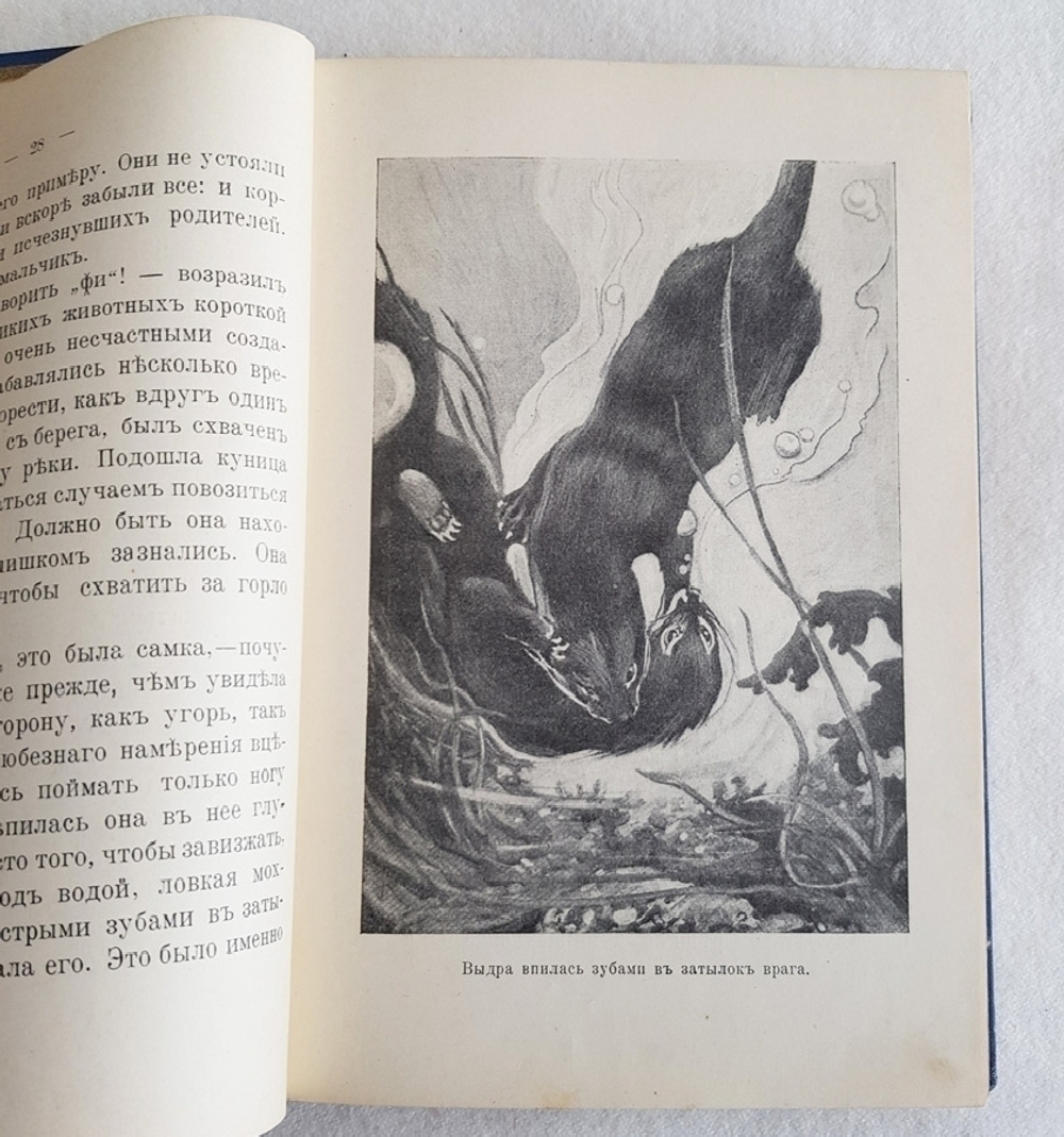 "Дети вод и лесов". Чарльз Робертс. 1915г. - антикварное издание