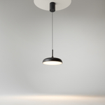 Подвесной светильник Maytoni MOD189PL-L30B3K