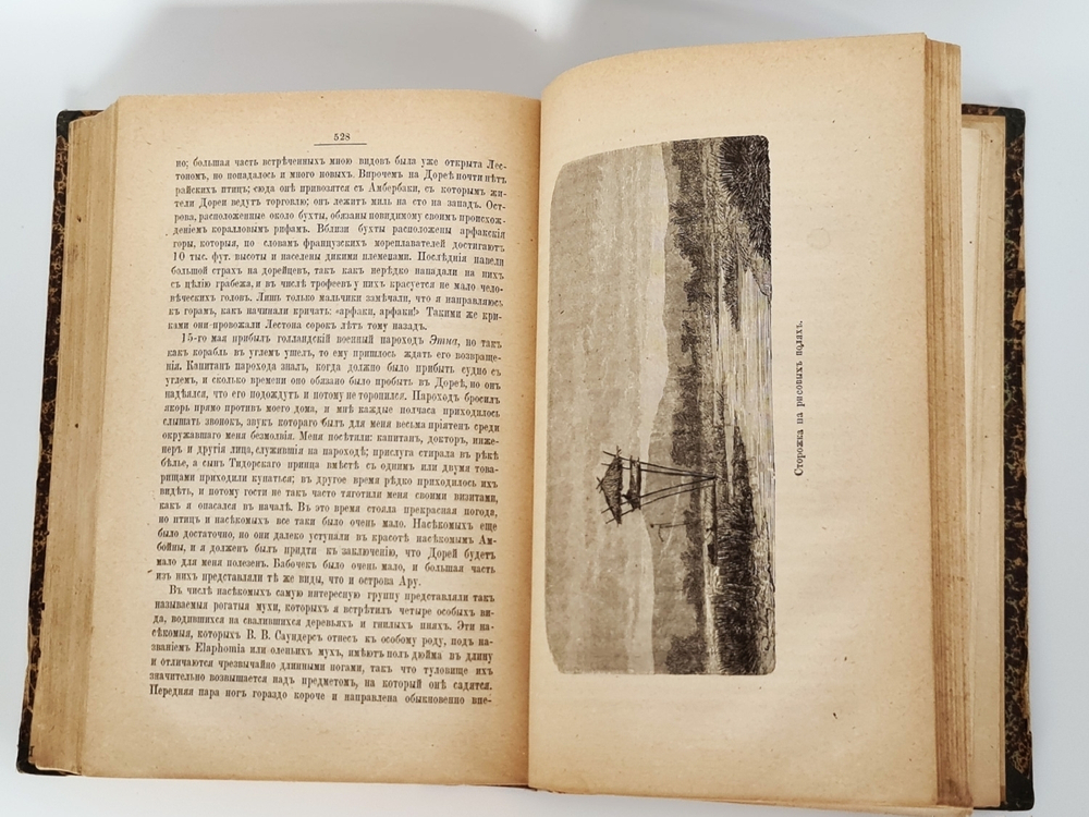 "Малайский архипелаг: Страна оранг-утана и райской птицы". А.Р.Уоллес. 1872 г. - антикварное издание